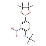RHAWN 4-(N-tert-butylamino)-3-nitrophenylboronic acid pinacol ester