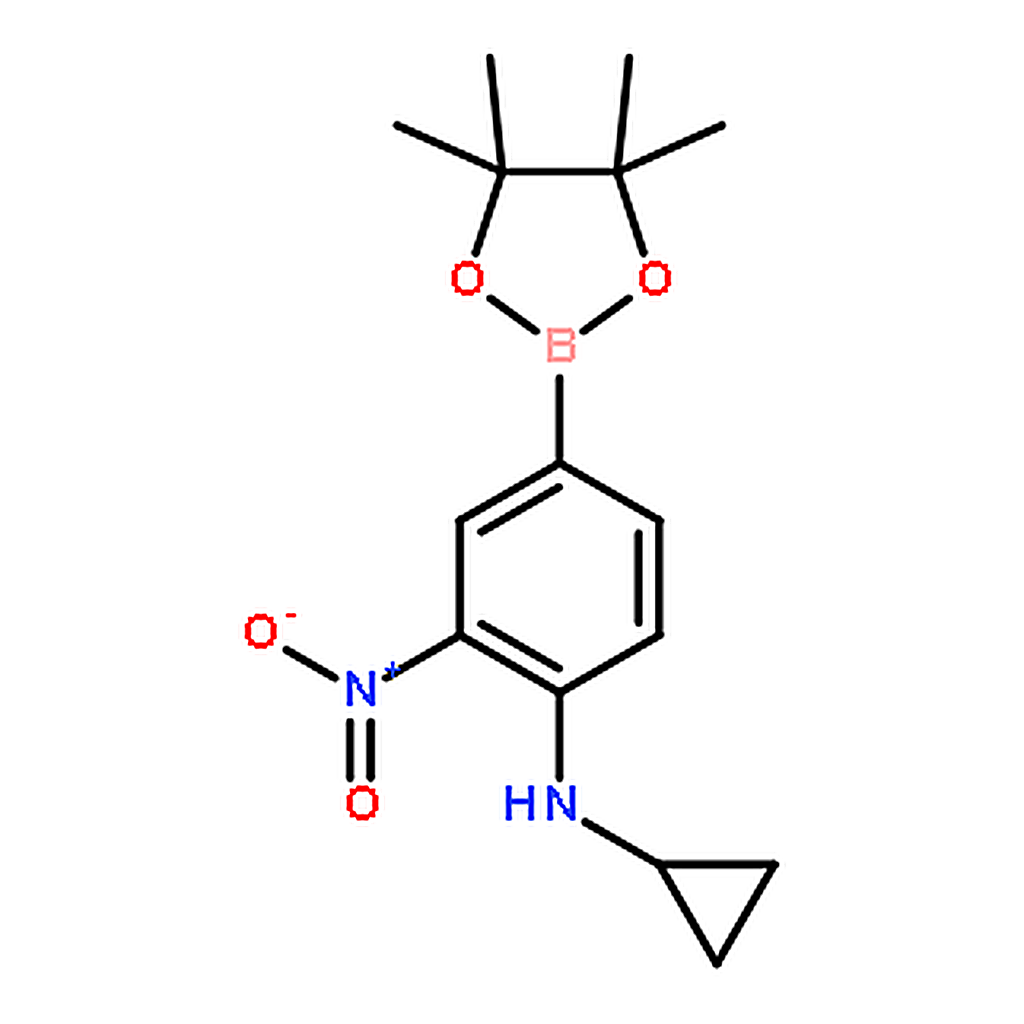 RHAWN Pinacol 3-nitro-4-cyclopropylaminophenylboronic acid