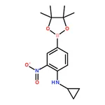 RHAWN Pinacol 3-nitro-4-cyclopropylaminophenylboronic acid