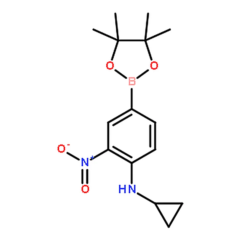 RHAWN Pinacol 3-nitro-4-cyclopropylaminophenylboronic acid