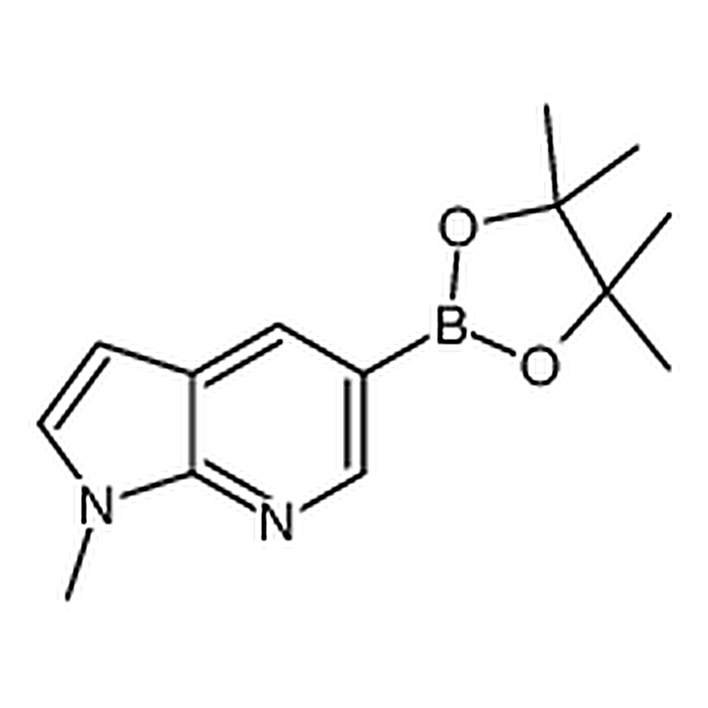 RHAWN 1-Methyl-5-(4,4,5,5-tetramethyl-1,3,2-dioxaborolan-2-yl)-1H-pyrrolo[2,3-b]pyridine