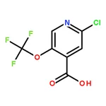 RHAWN 2-Chloro-5-(trifluoromethoxy)isonicotinic acid