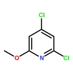 RHAWN 2,4-Dichloro-6-methoxypyridine
