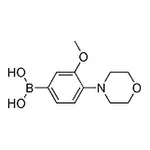 RHAWN (3-Methoxy-4-morpholinophenyl)boronic acid