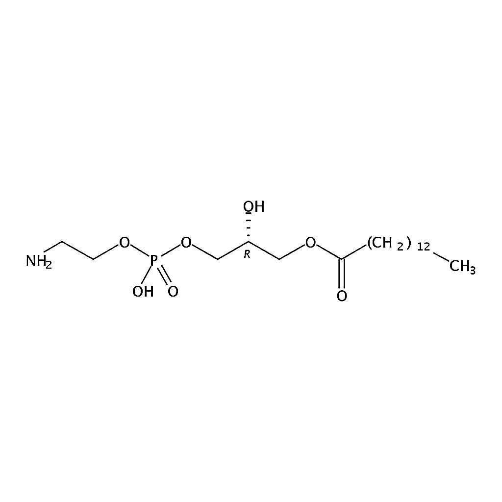 RHAWN 1-myristoyl-2-hydroxy-sn-glycero-3-phosphoethanolamine