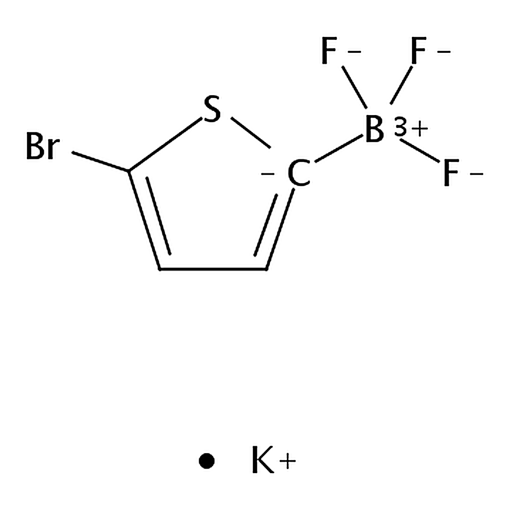 RHAWN PotassiuM (5-broMothiophen-2-yl)trifluoroboranuide