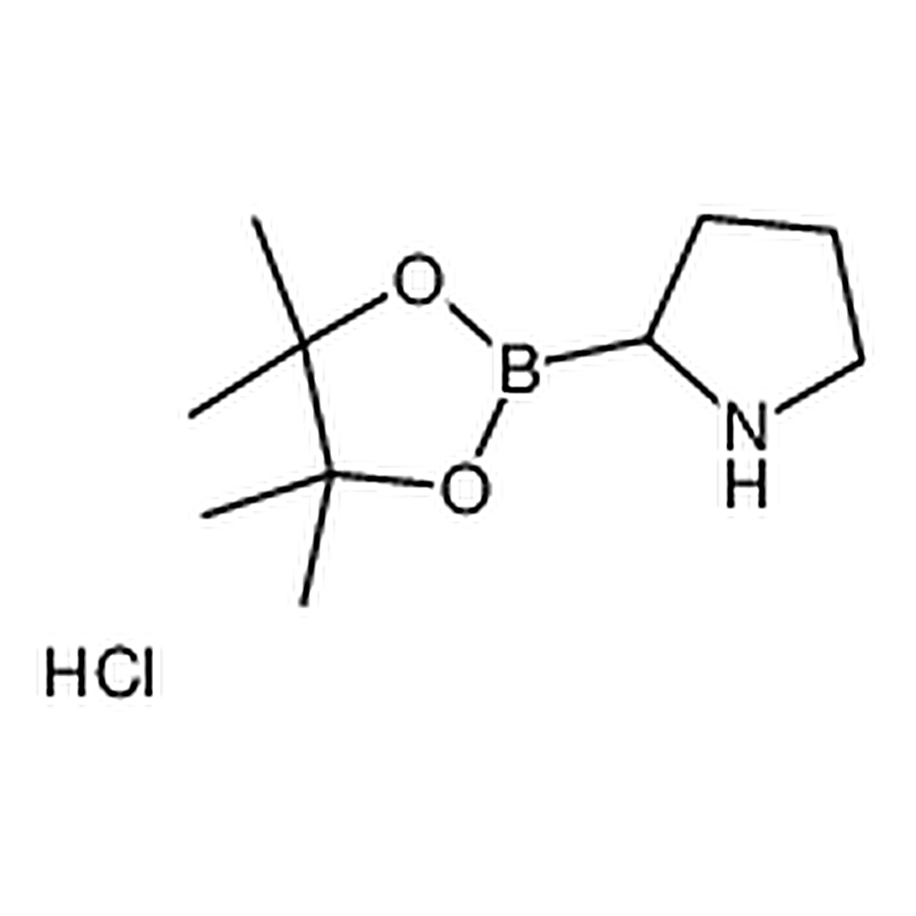 RHAWN 2-(4,4,5,5-Tetramethyl-1,3,2-dioxaborolan-2-yl)pyrrolidine hydrochloride