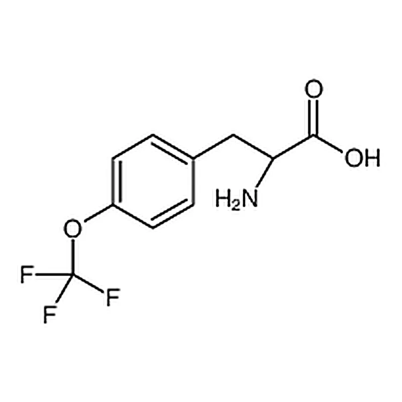 RHAWN (R)-2-Amino-3-(4-(trifluoromethoxy)phenyl)propanoic acid