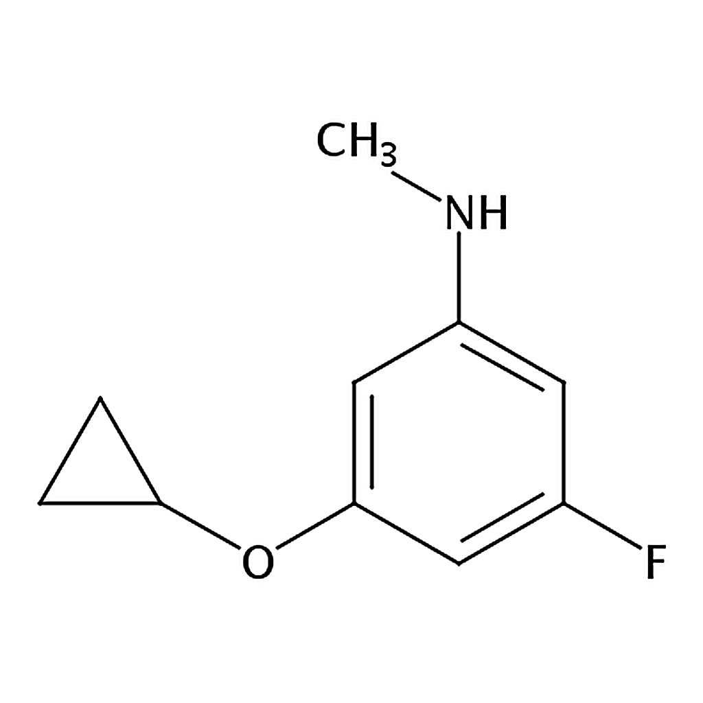 RHAWN 3-Cyclopropoxy-5-fluoro-N-methylaniline