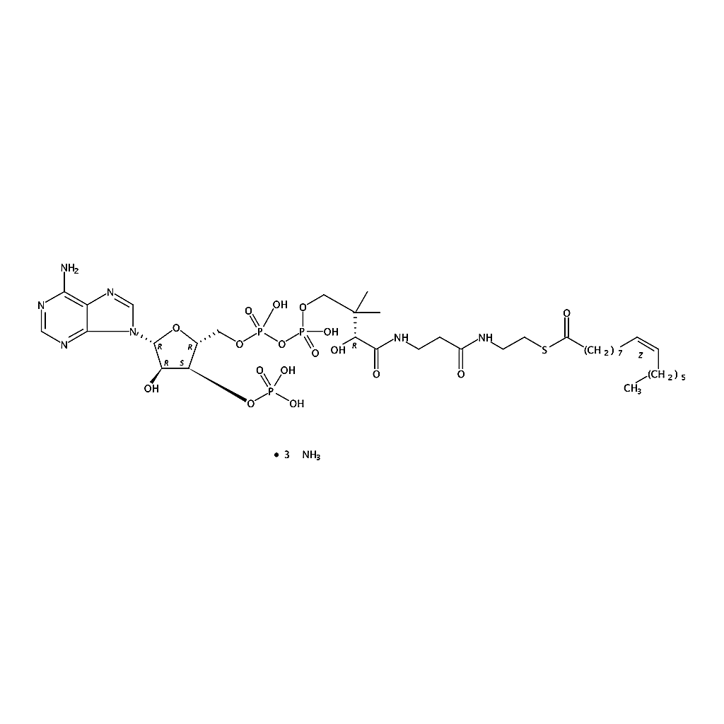 RHAWN palmitoleoyl Coenzyme A(ammonium salt)