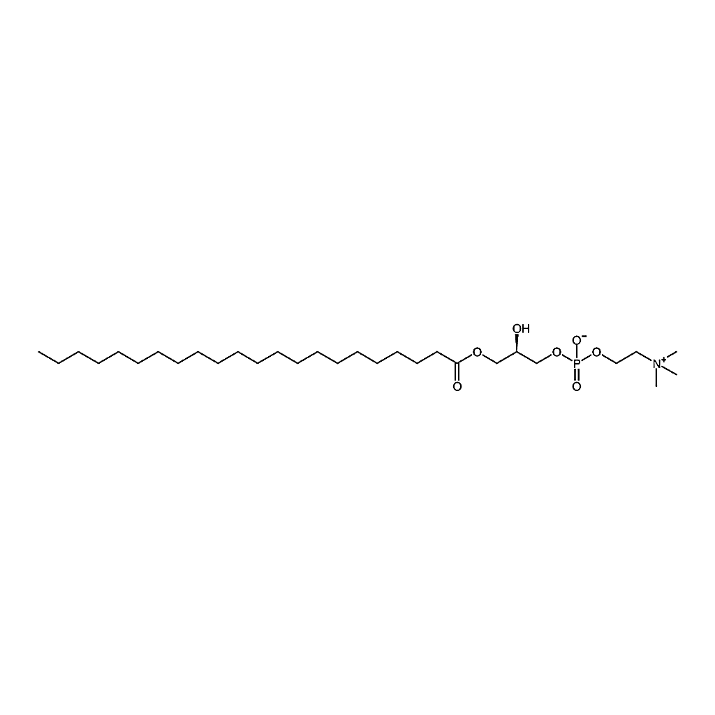 RHAWN 1-behenoyl-2-hydroxy-sn-glycero-3-phosphocholine