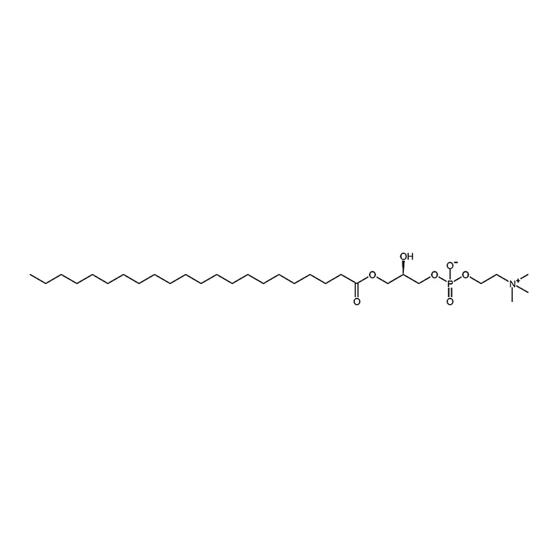 RHAWN 1-behenoyl-2-hydroxy-sn-glycero-3-phosphocholine