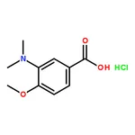 RHAWN 3-(dimethylamino)-4-methoxybenzoicacidhydrochloride