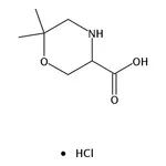 RHAWN 6,6-Dimethylmorpholine-3-carboxylic acid hydrochloride