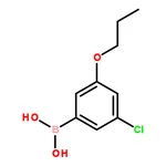 RHAWN (3-Chloro-5-propoxyphenyl)boronic acid