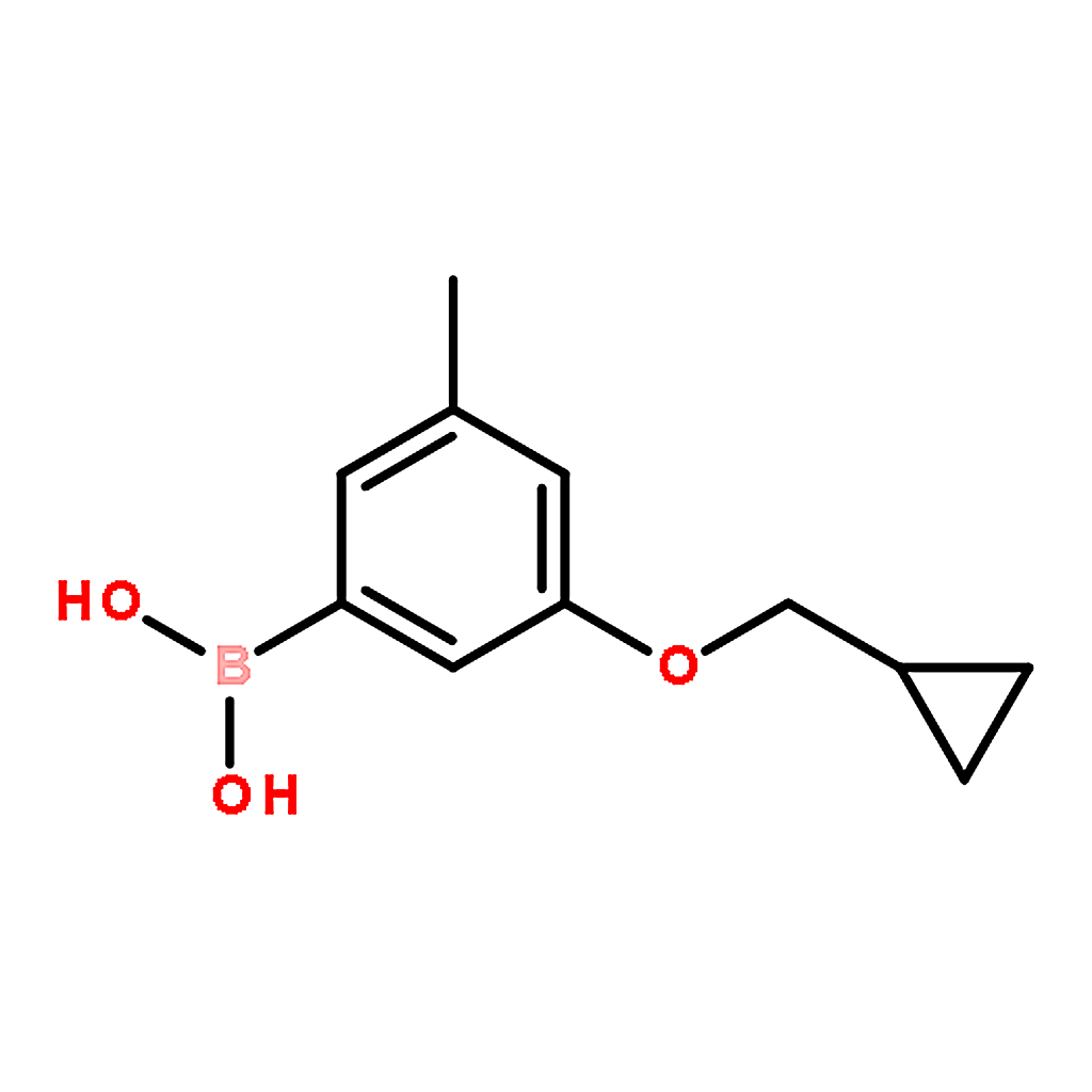 RHAWN (3-(Cyclopropylmethoxy)-5-methylphenyl)boronic acid