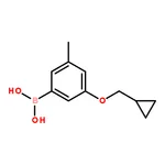 RHAWN (3-(Cyclopropylmethoxy)-5-methylphenyl)boronic acid