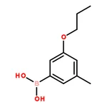 RHAWN (3-Methyl-5-propoxyphenyl)boronic acid