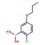 RHAWN (2-Chloro-5-propoxyphenyl)boronic acid