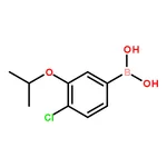 RHAWN (4-Chloro-3-isopropoxyphenyl)boronic acid