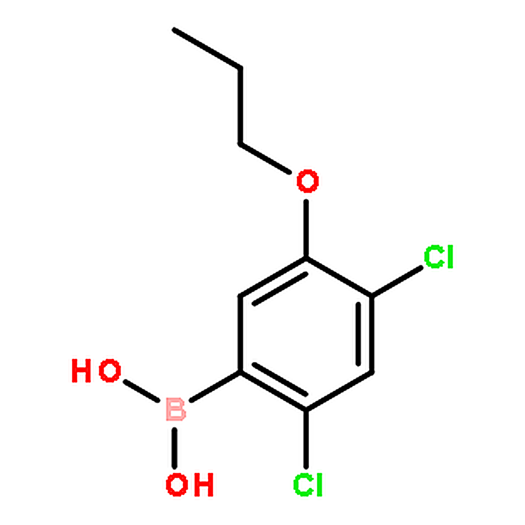 RHAWN (2,4-Dichloro-5-propoxyphenyl)boronic acid
