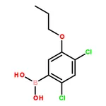 RHAWN (2,4-Dichloro-5-propoxyphenyl)boronic acid