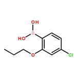 RHAWN (4-Chloro-2-propoxyphenyl)boronic acid