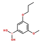 RHAWN (3-Methoxy-5-propoxyphenyl)boronic acid