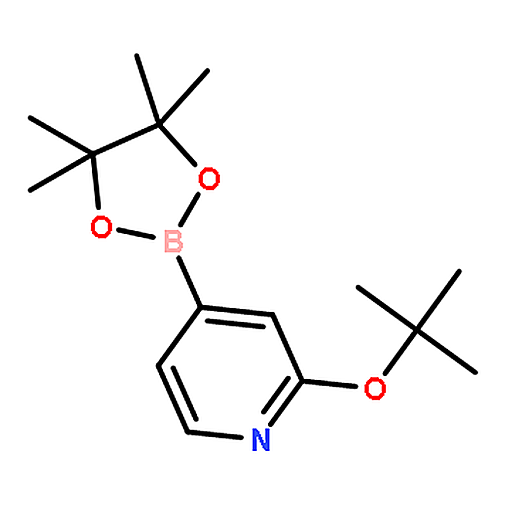 RHAWN 2-(tert-Butoxy)-4-(4,4,5,5-tetramethyl-1,3,2-dioxaborolan-2-yl)pyridine