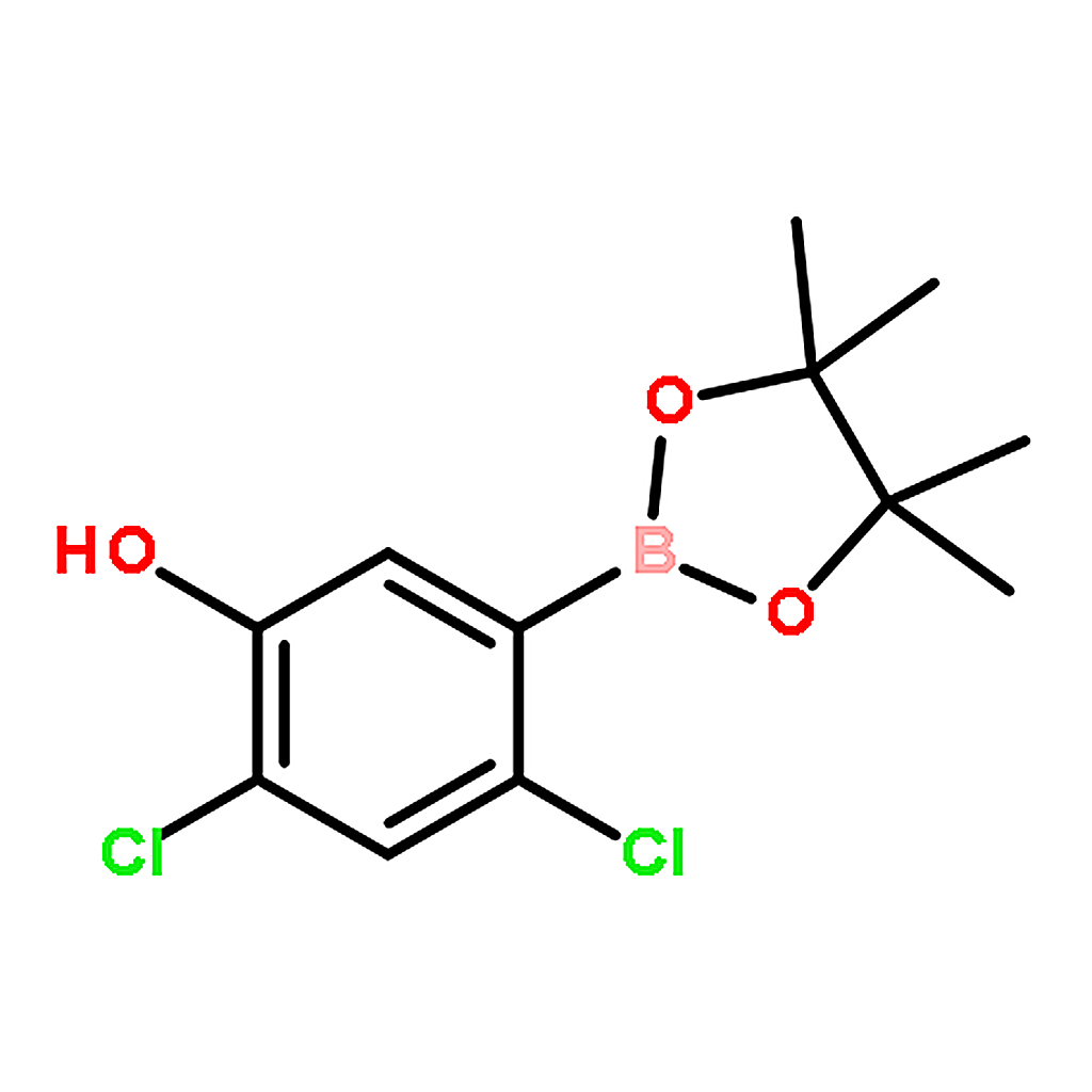 RHAWN 2,4-Dichloro-5-(4,4,5,5-tetramethyl-1,3,2-dioxaborolan-2-yl)phenol