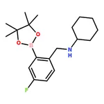 RHAWN N-(4-Fluoro-2-(4,4,5,5-tetramethyl-1,3,2-dioxaborolan-2-yl)benzyl)cyclohexanamine