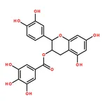 RHAWN (-)-Epicatechin gallate