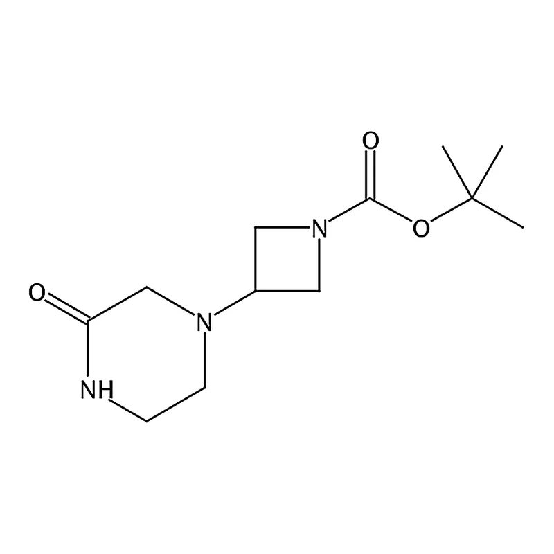 RHAWN 1-Boc-3-(3-oxo-1-piperazinyl)azetidine