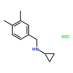 RHAWN N-(3,4-Dimethylbenzyl)cyclopropanamine hydrochloride