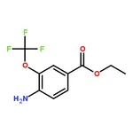 RHAWN Ethyl 4-amino-3-(trifluoromethoxy)benzoate