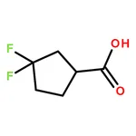 RHAWN 3,3-Difluorocyclopentaecarboxylic acid