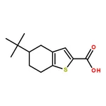 RHAWN 5-tert-butyl-4,5,6,7-tetrahydro-1-benzothiophene-2-carboxylic acid
