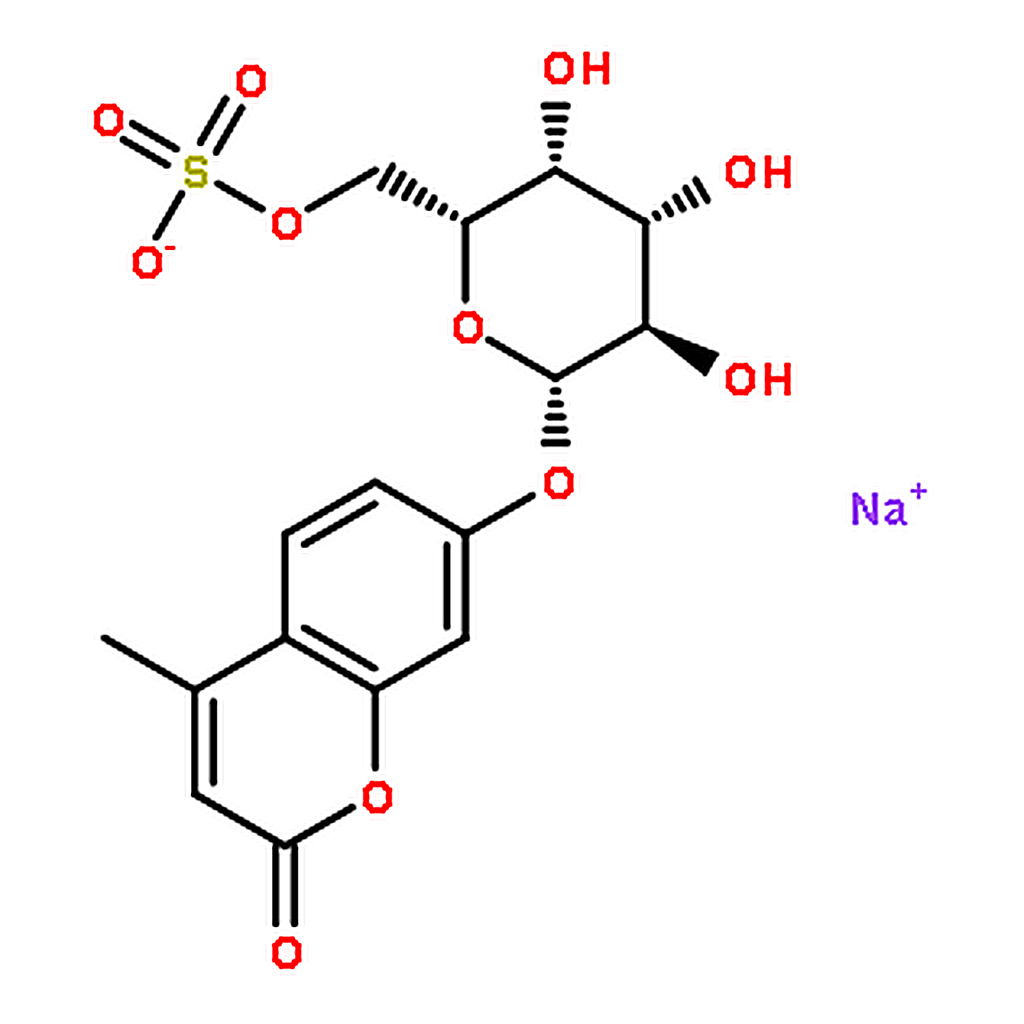 RHAWN 4-Methylumbelliferyl -D-galactopyranoside-6-sulfate