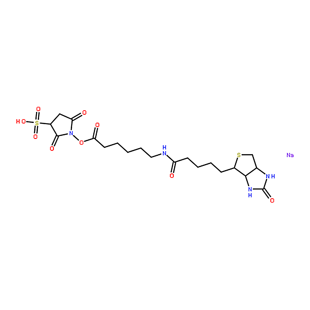 RHAWN Sulfosuccinimidyl 6-(biotinamido)hexanoate