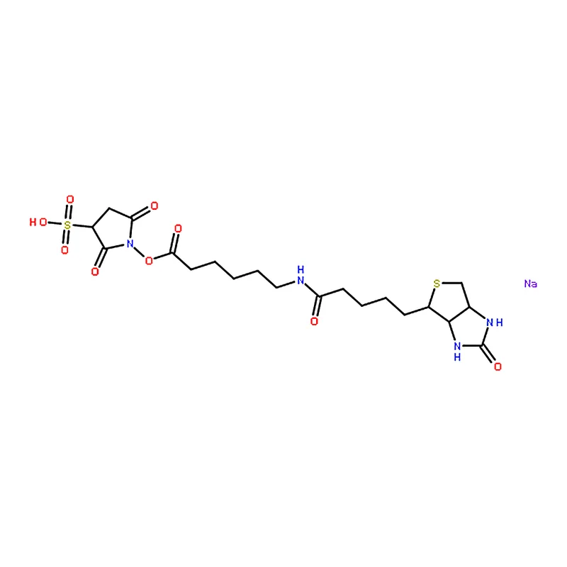 RHAWN Sulfosuccinimidyl 6-(biotinamido)hexanoate