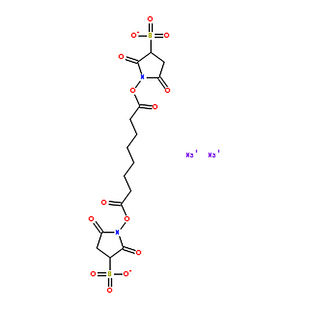 RHAWN Suberic acid bis(3-sulfo-N-hydroxysuccinimide ester) sodium salt