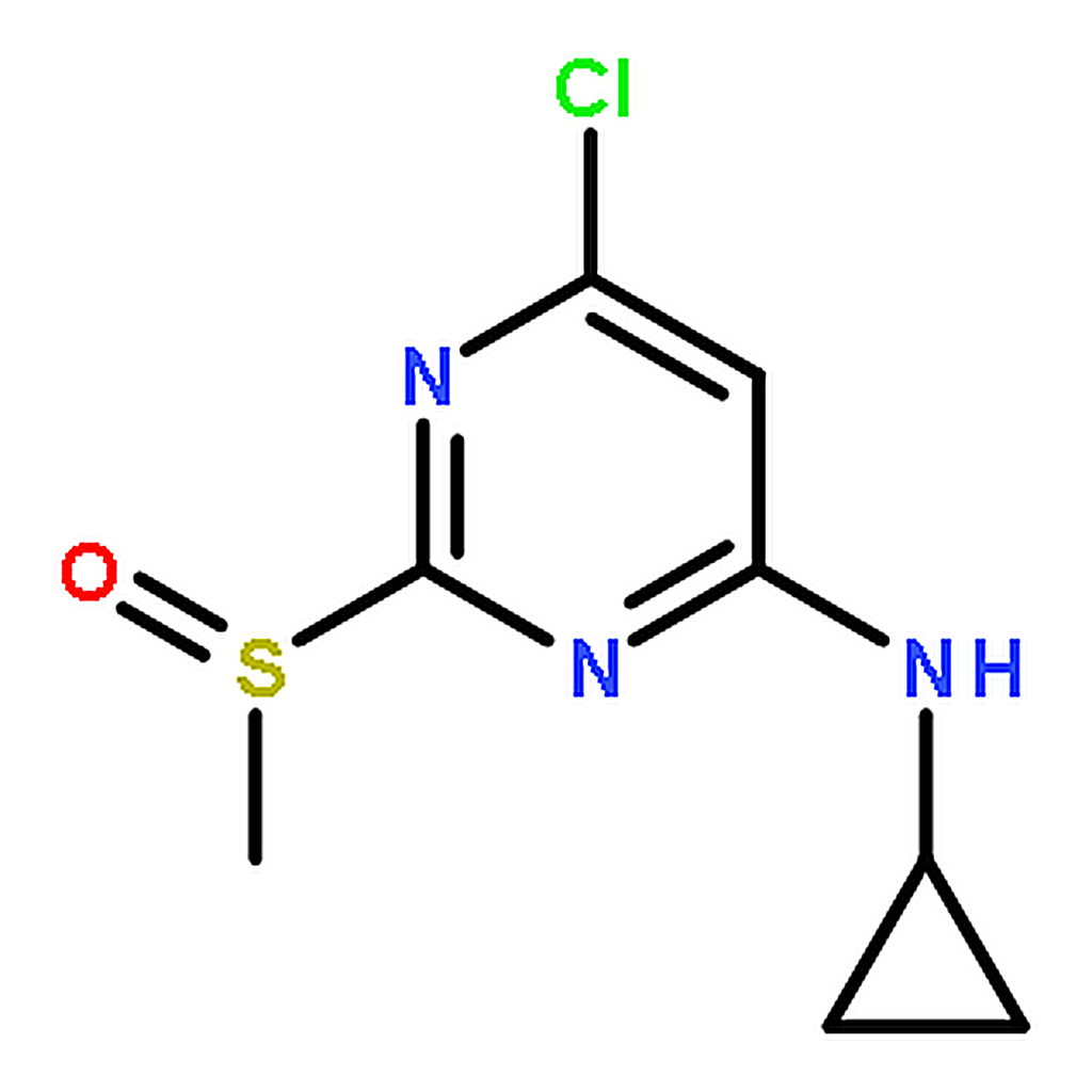 RHAWN (6-Chloro-2-methanesulfinyl-pyrimidin-4-yl)-cyclopropyl-amine