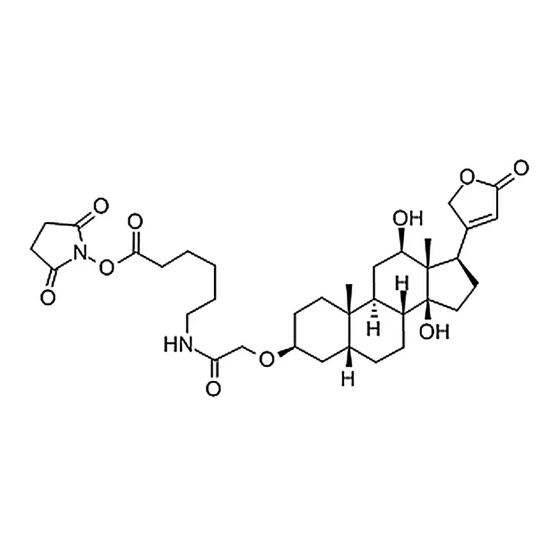 RHAWN Digoxigenin NHS-ester