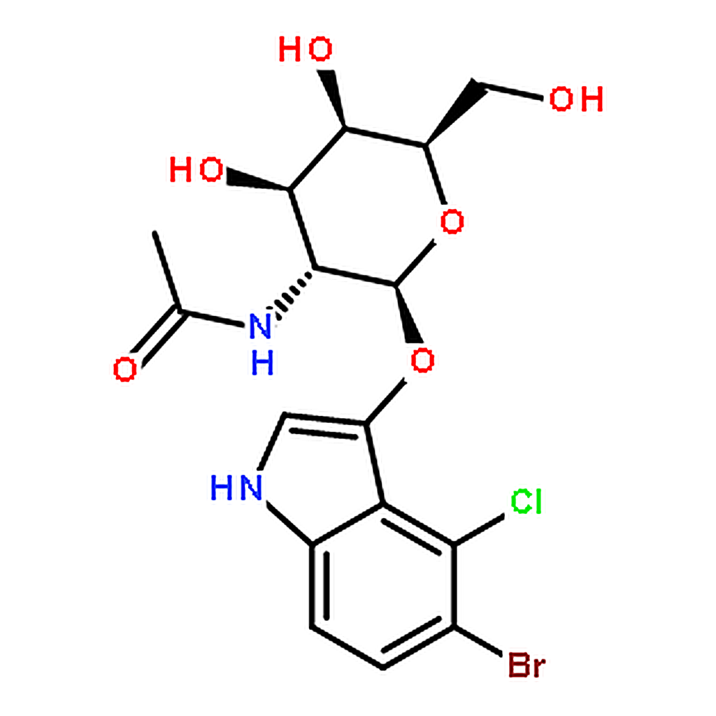 RHAWN 5-Bromo-4-chloro-3-indolyl-N-acetyl-beta-D-galactosaminide