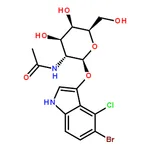 RHAWN 5-Bromo-4-chloro-3-indolyl-N-acetyl-beta-D-galactosaminide