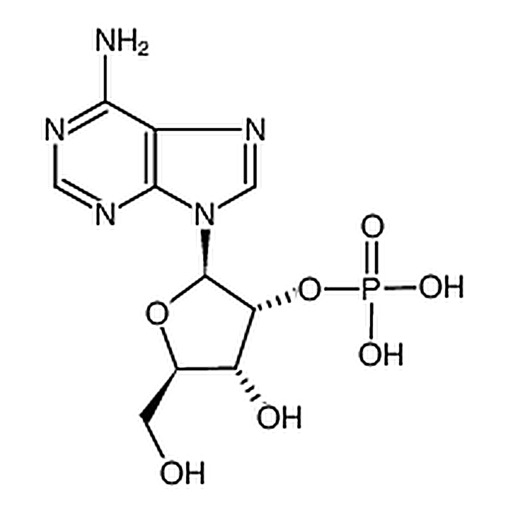 RHAWN ADENOSINE 2' -& 3'-MONOPHOSPHATE FREE
