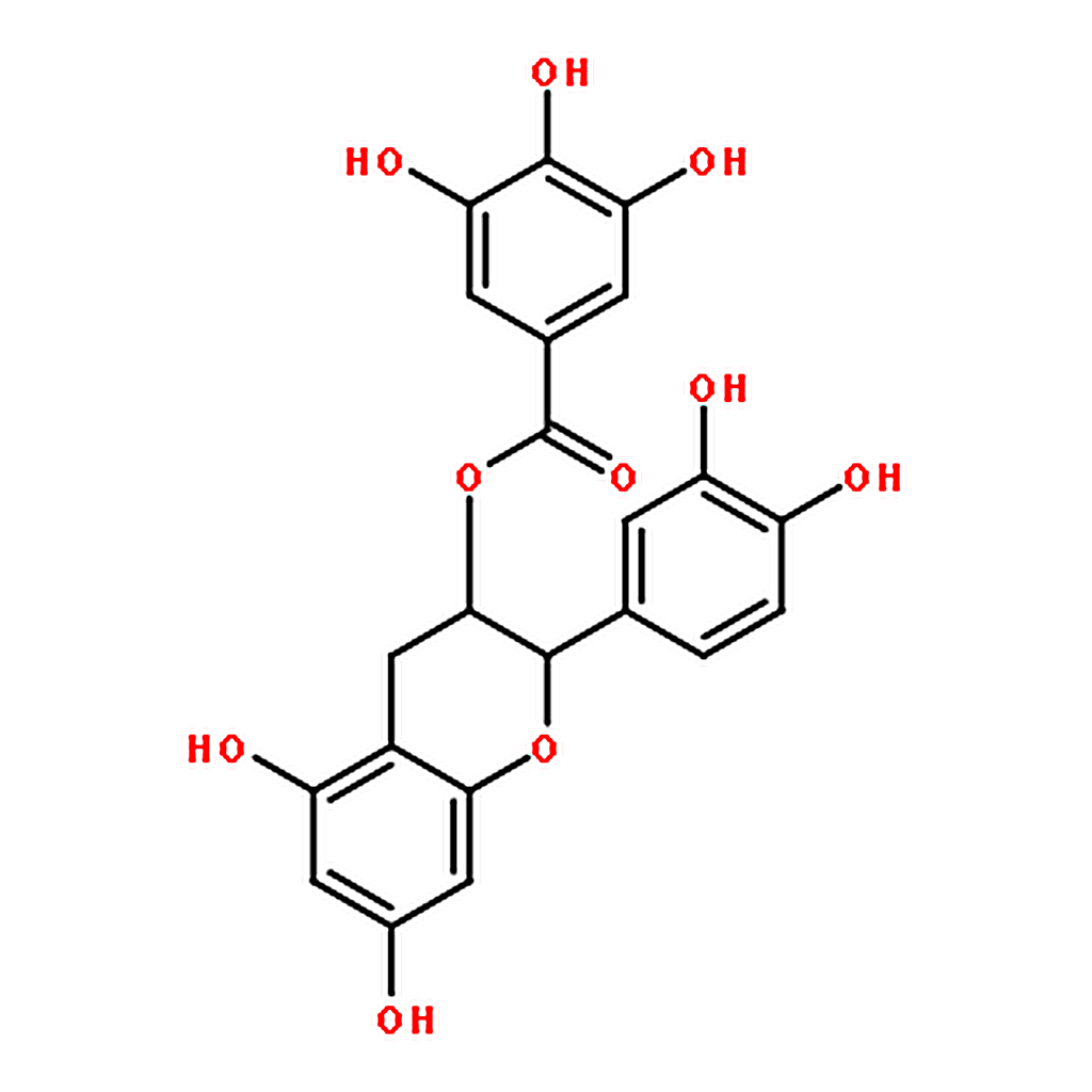 RHAWN (-)-Catechin Gallate