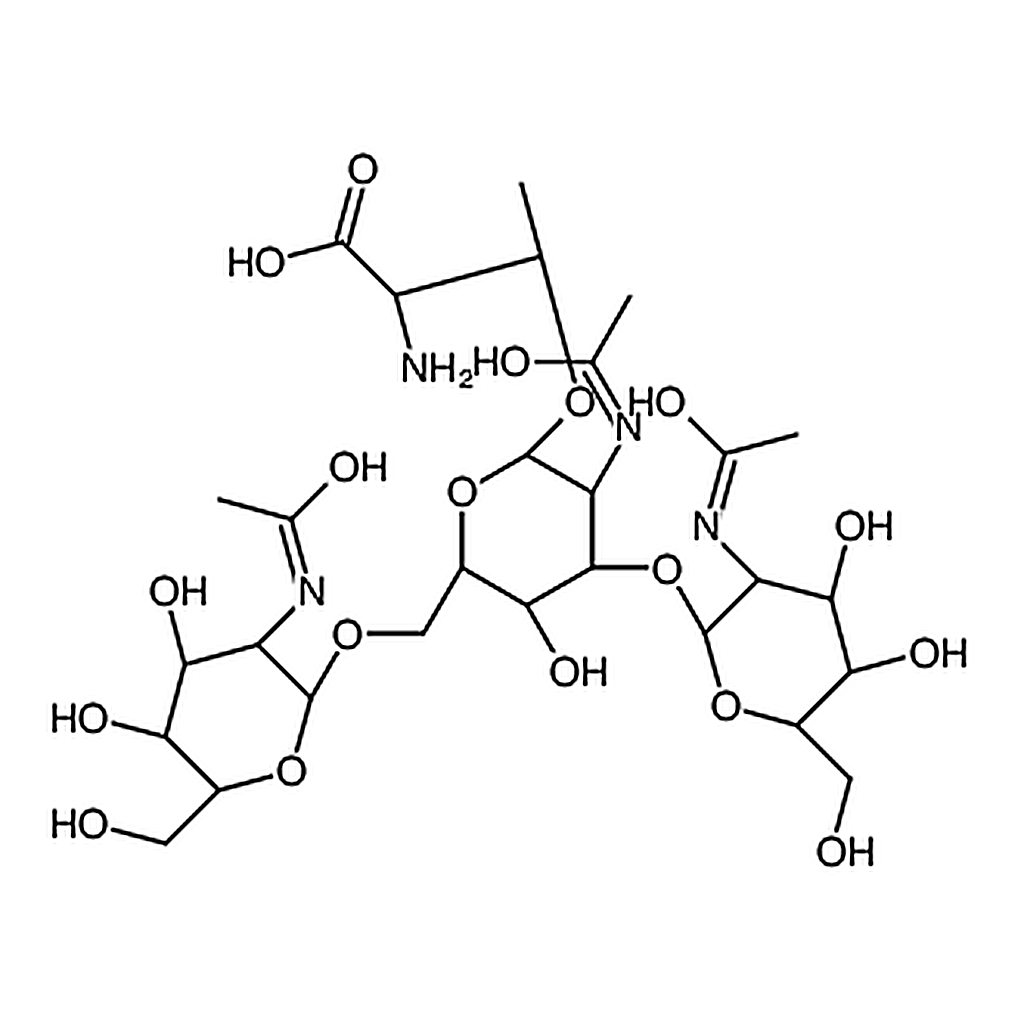 RHAWN GlcNAc&beta;(1-3)[GlcNAc&beta;(1-6)]GalNAc-&alpha;-Thr