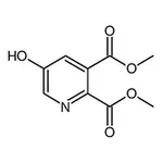 RHAWN 2,3-Dimethyl 5-Hydroxypyridine-2,3-Dicarboxylate