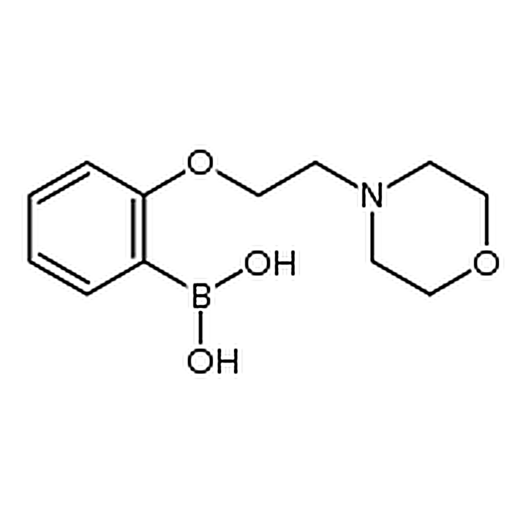 RHAWN 2-(2-Morpholinoethoxy)phenylboronic acid